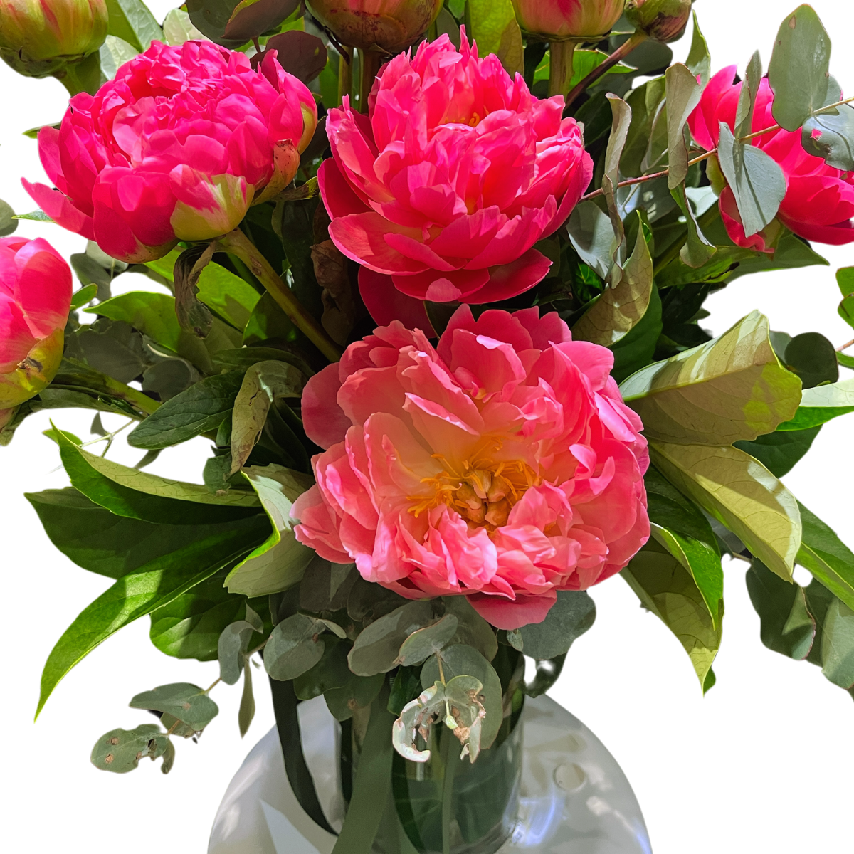 Peony Paradise (Vase)