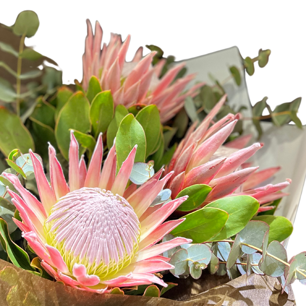 King Protea Bouquet