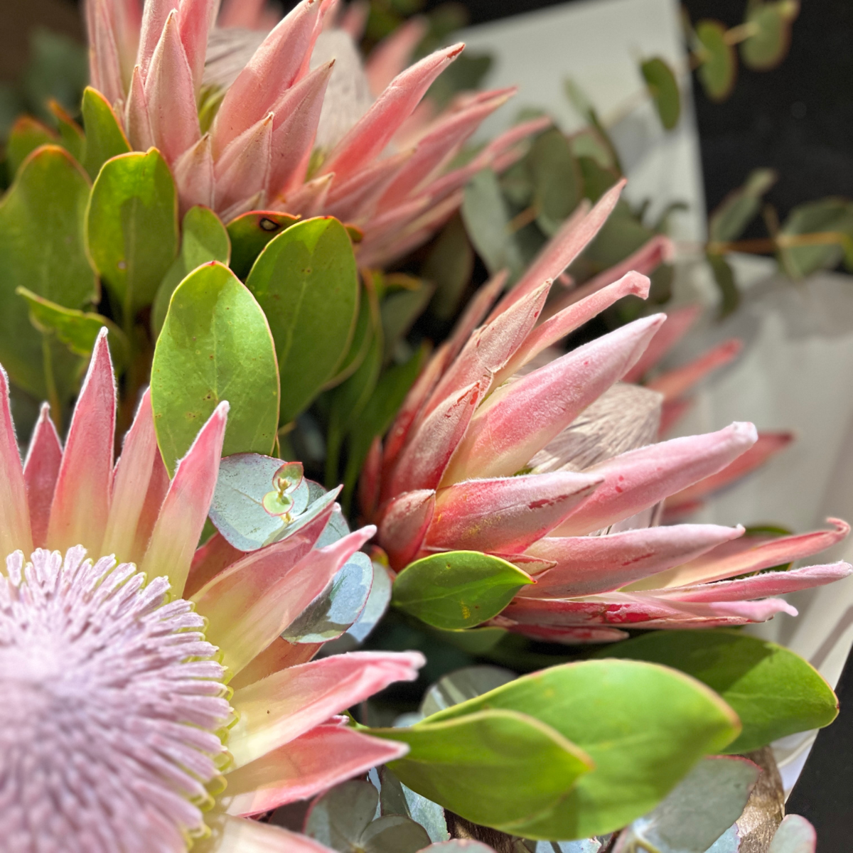 King Protea Bouquet