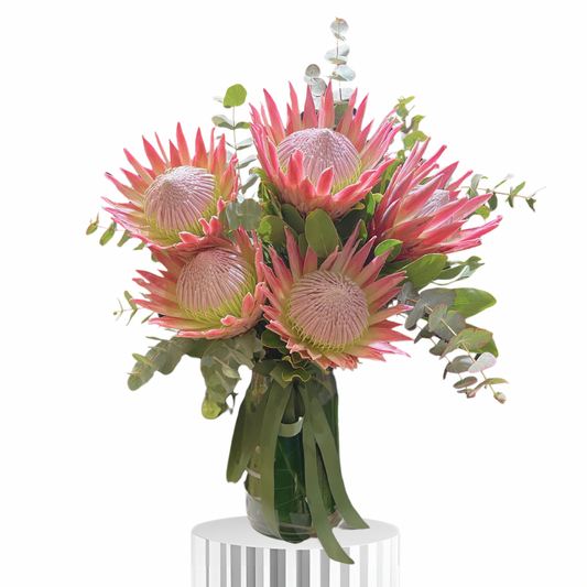 King Protea (Vase)